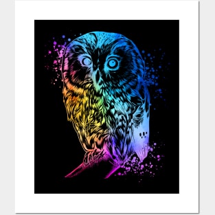 Colorful owl Posters and Art